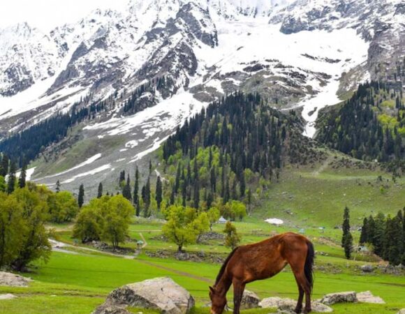 10 Things to Do in Kashmir Valley