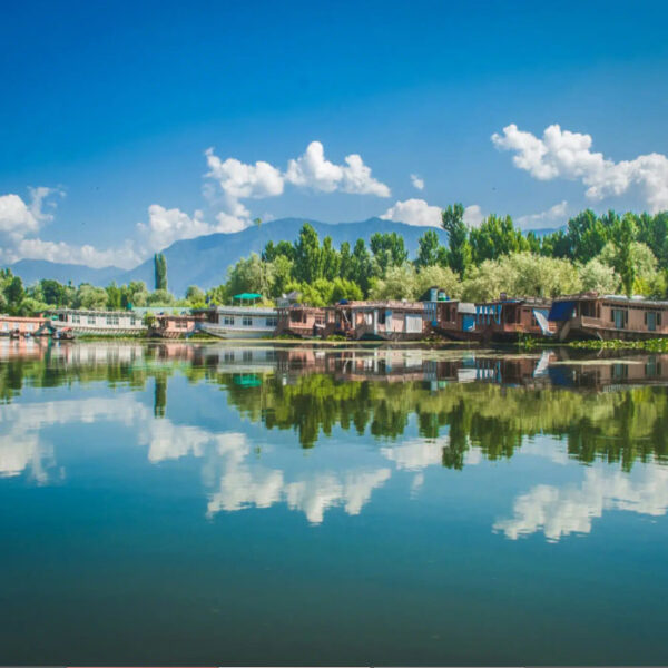 Glorious Kashmir 5D/4N Package