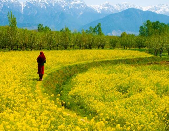 Eventful Kashmir 9N/10D Package